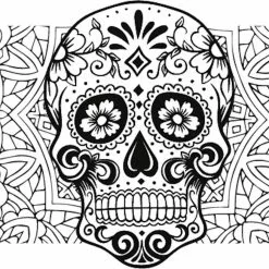 DYEDBRO Bei Brügelmann Online DYEDBRO Dia De Muertos Rahmenschutz Kit Transparent/schwarz