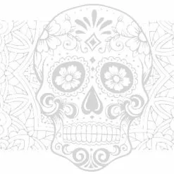 DYEDBRO Bei Brügelmann Online DYEDBRO Dia De Muertos Rahmenschutz Kit Transparent/weiß