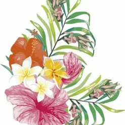 DYEDBRO Bei Brügelmann Online DYEDBRO Hawaii Rahmenschutz Kit